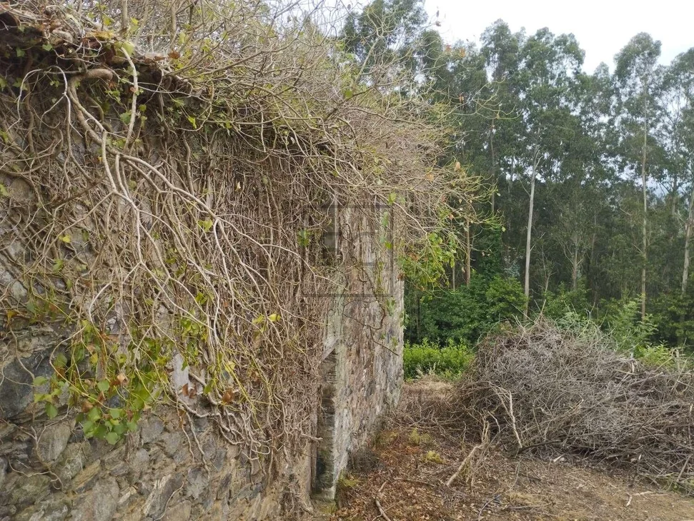 Casa para rehabilitar en Cerdido.