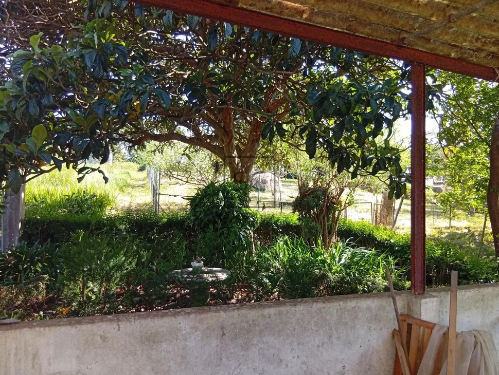 Vivienda con finca para reformar en San Martín do Porto, Cabanas.