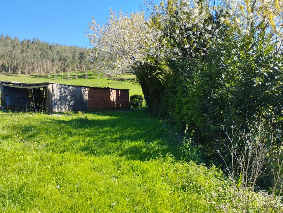 Casa de piedra en as somozas