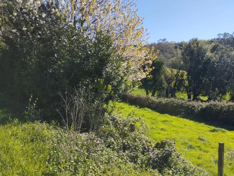 Casa de piedra en as somozas