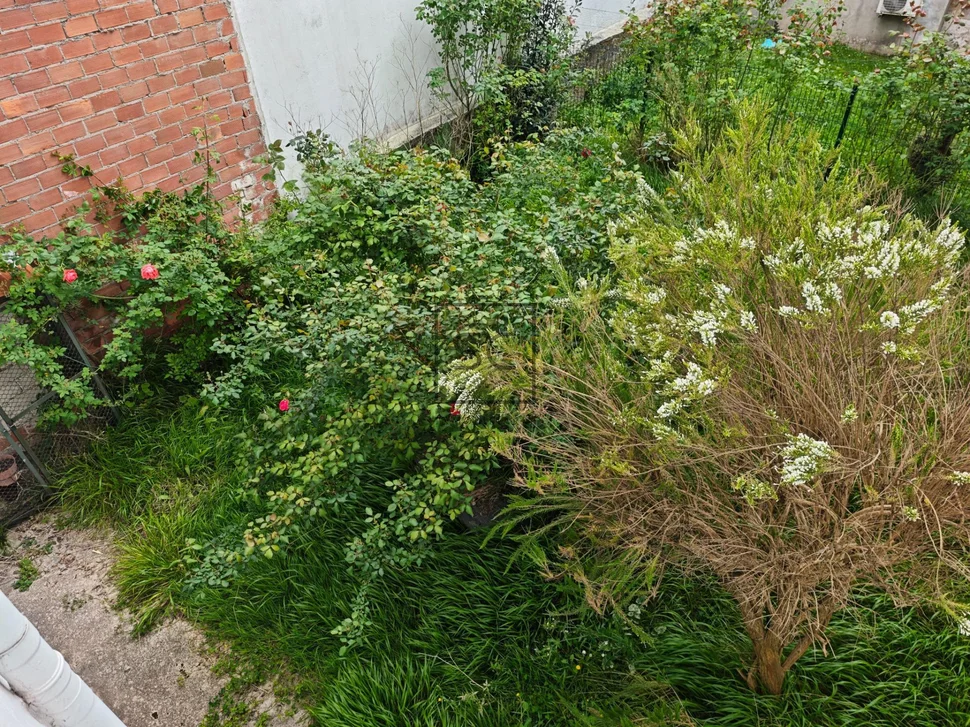 Casa con jardín y garaje en porta nova, ferrol