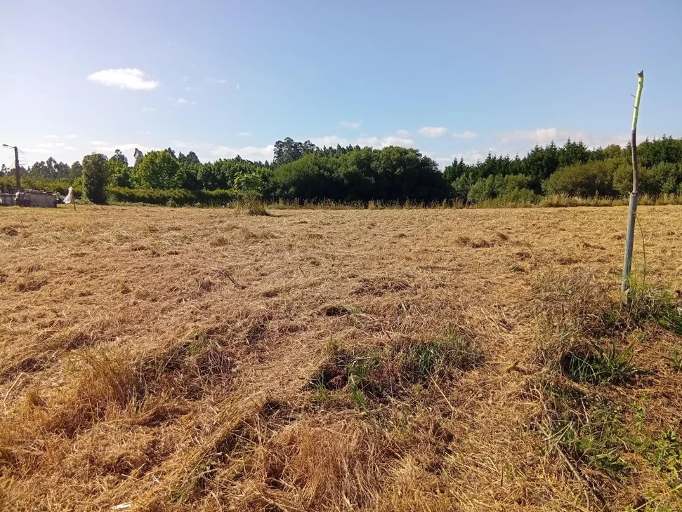 Terreno urbano en Laraxe, Cabanas. – foto 2