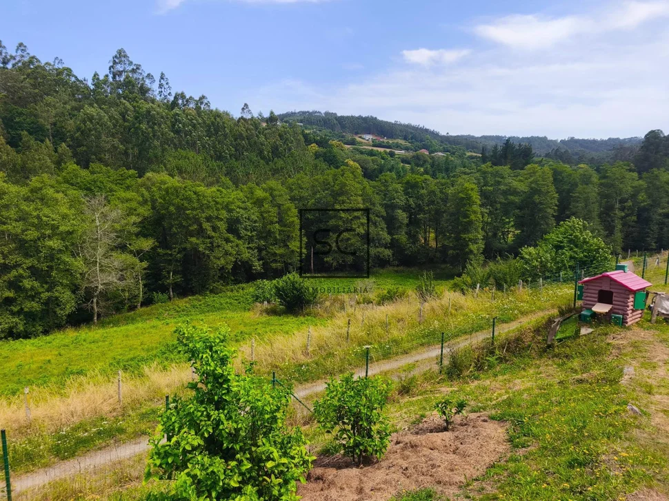 Fin de semana en Narahío, San Sadurniño
