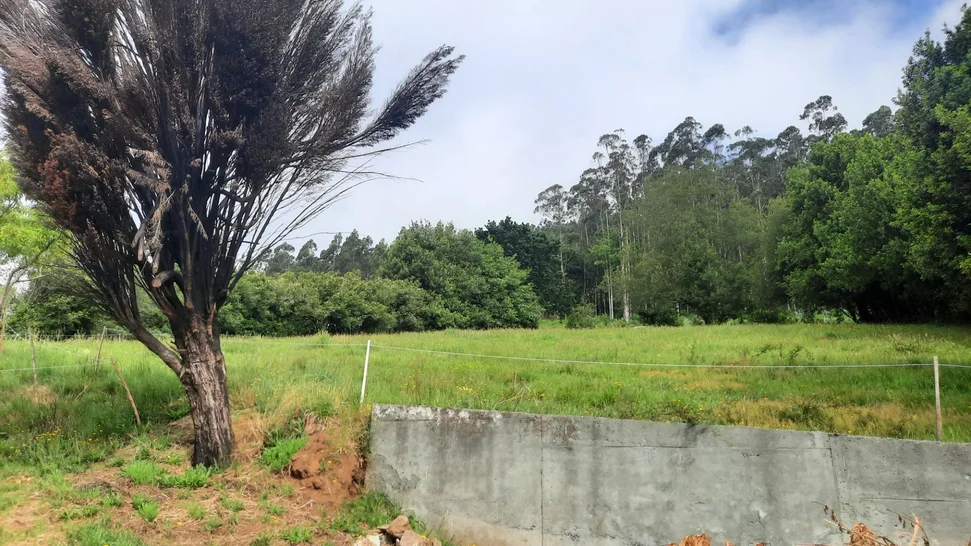 Casa adosada con finca en Santa Cruz de Moeche – foto 24