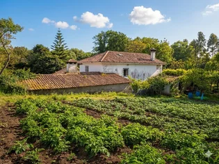 El molino de Amenadás llega a La Voz de Ferrol: un pedazo de historia de Narón en venta