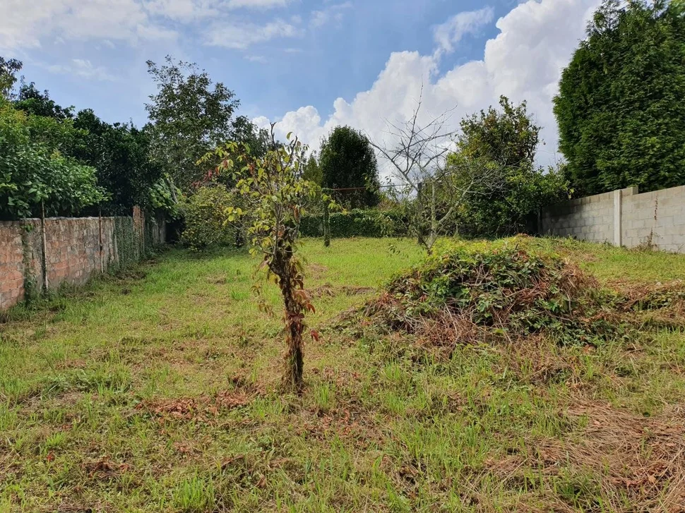 Casa con garaje, bodega y finca en san sadurnino