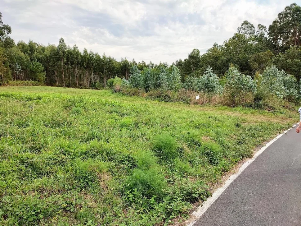 Casa de piedra para rehabilitar en narahío, san sadurniño