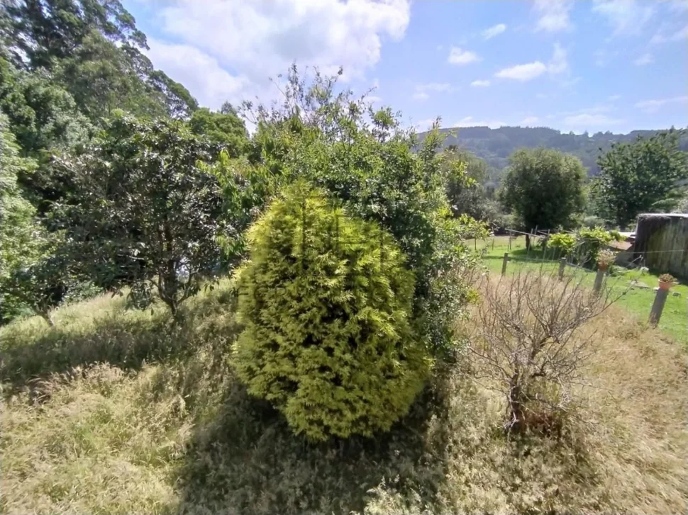 Se vende finca edificable de 944 mts ( somozas)