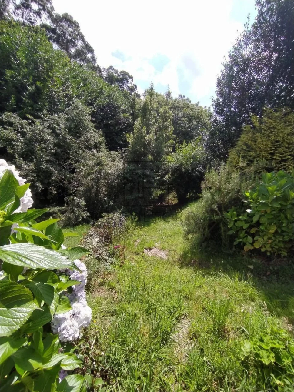 Se vende finca edificable de 944 mts ( somozas)