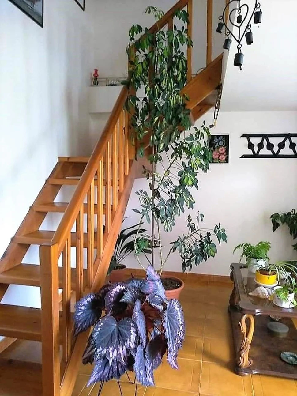 Casa adosada y totalmente amueblada con finca anexada