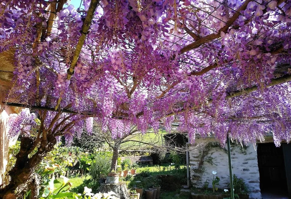 Casa adosada y totalmente amueblada con finca anexada