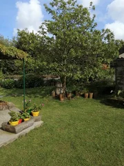 Casa adosada y totalmente amueblada con finca anexada