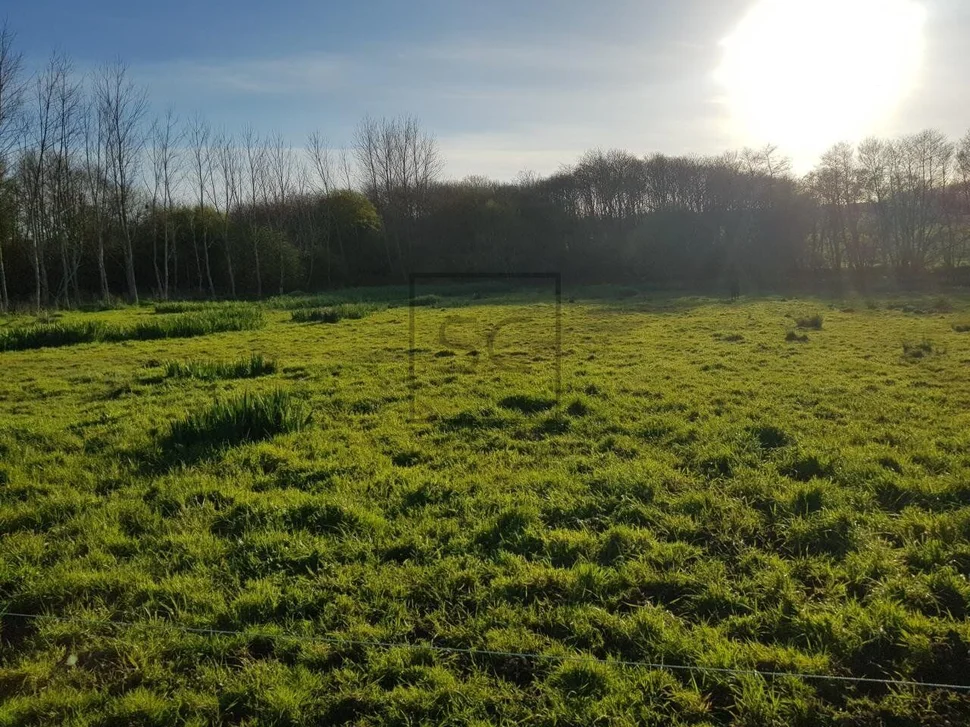 Finca rústica en el lago, valdoviño