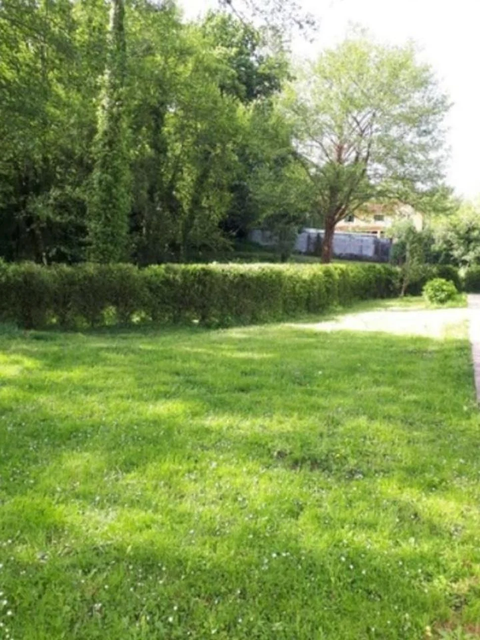 Casa con Finca y Bodega en Pazos
