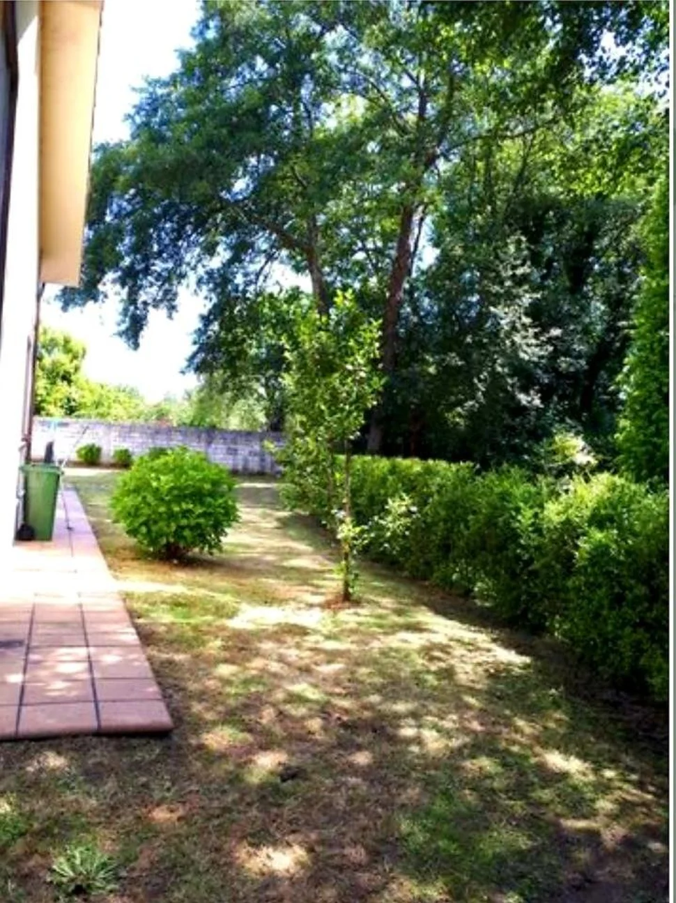 Casa con Finca y Bodega en Pazos