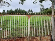 Se vende casa para reformar con gran finca en el val, narón