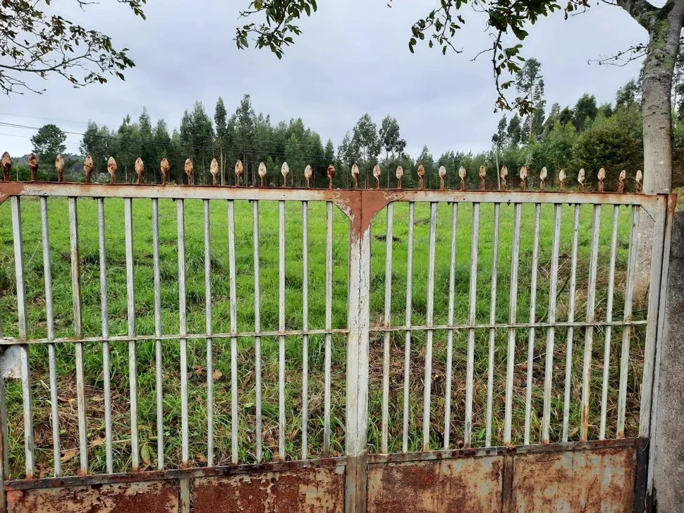 Se vende casa para reformar con gran finca en el val, narón