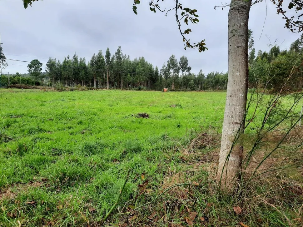 Se vende casa para reformar con gran finca en el val, narón