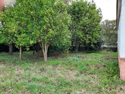 Se vende casa para reformar con gran finca en el val, narón