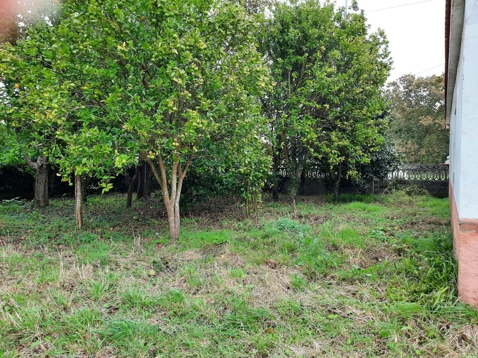 Se vende casa para reformar con gran finca en el val, narón