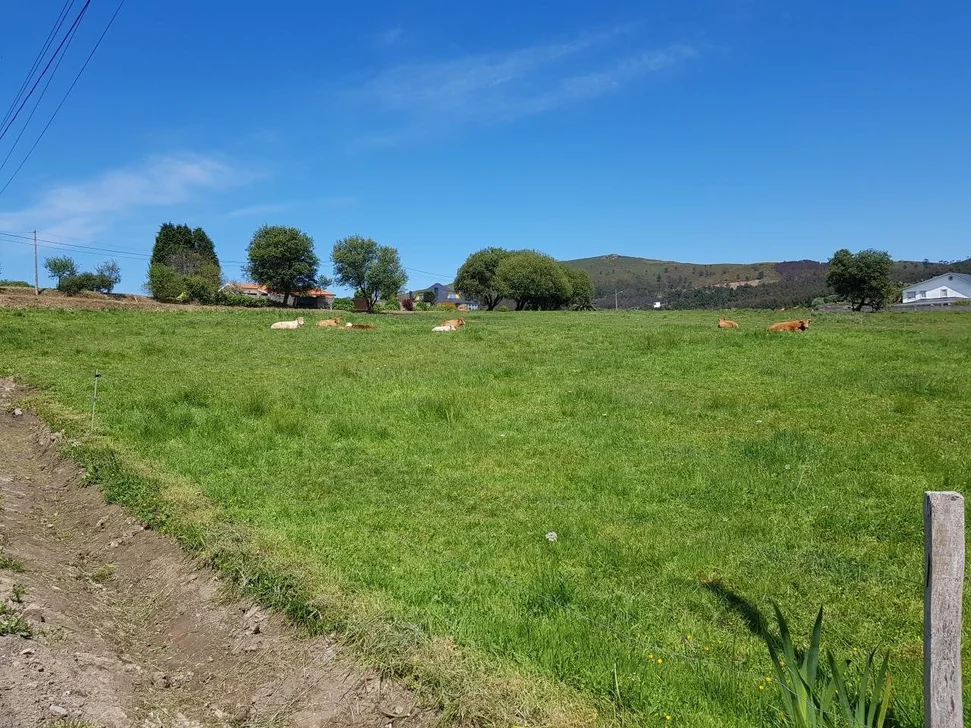 Se Vende Finca Rústica en Meirás, Valdoviño