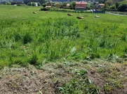 Se Vende Finca Rústica en Meirás, Valdoviño