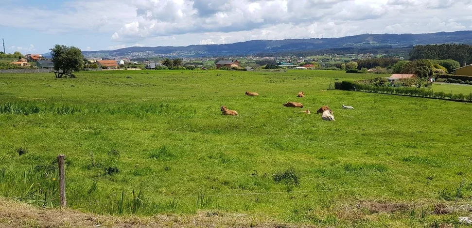 Se Vende Finca Rústica en Meirás, Valdoviño
