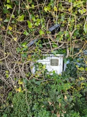 Terreno rural en cobas