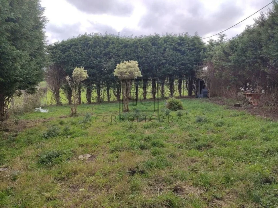 Terreno rural en cobas