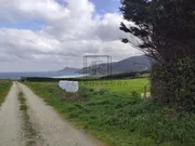 Terreno rural en cobas