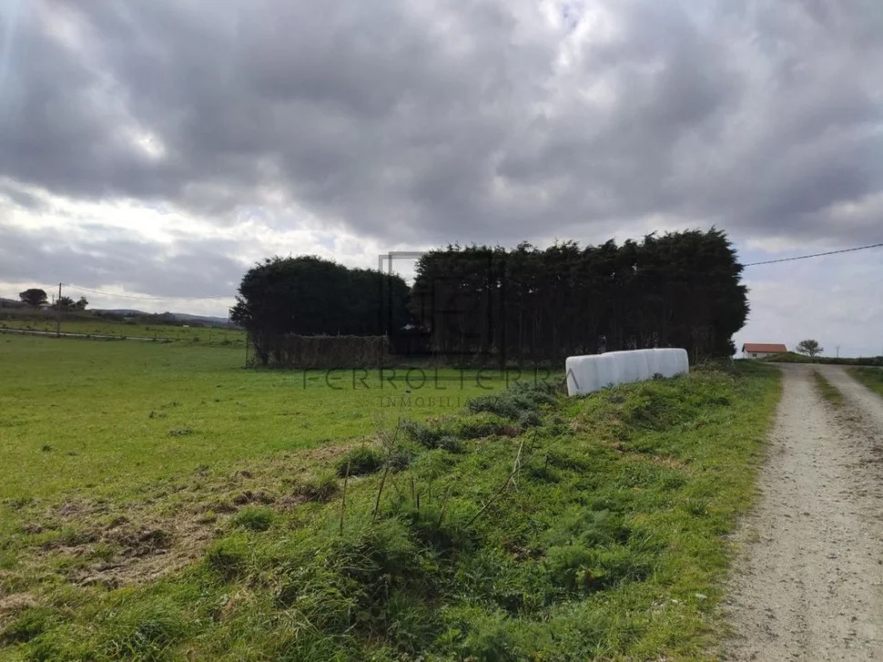 Terreno rural en cobas