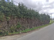 Terreno rural en cobas