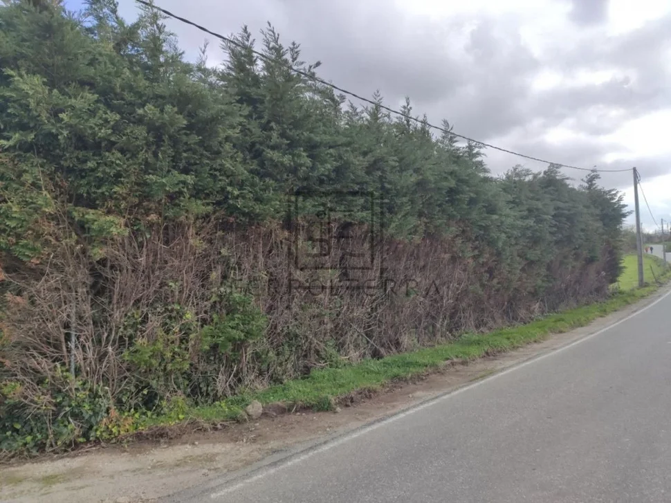 Terreno rural en cobas