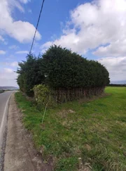 Terreno rural en cobas