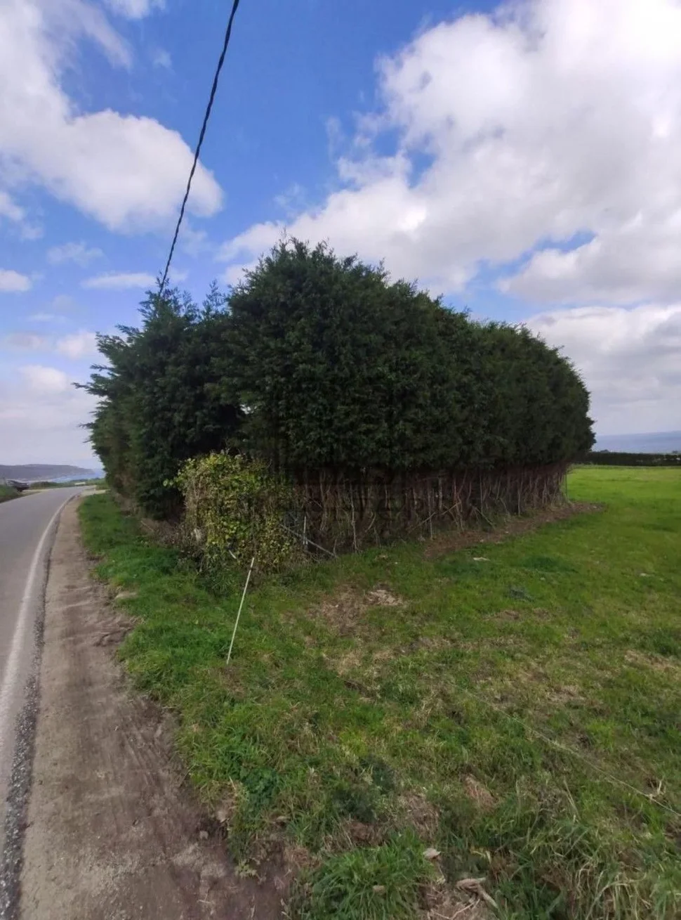 Terreno rural en cobas