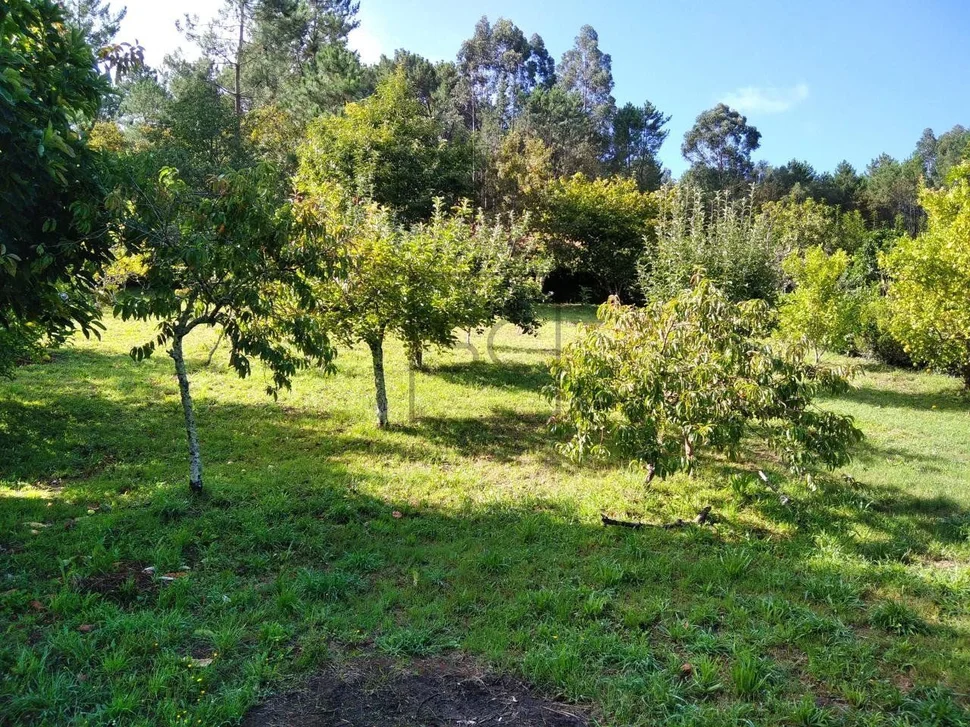 Casa con vistas y finca edificable
