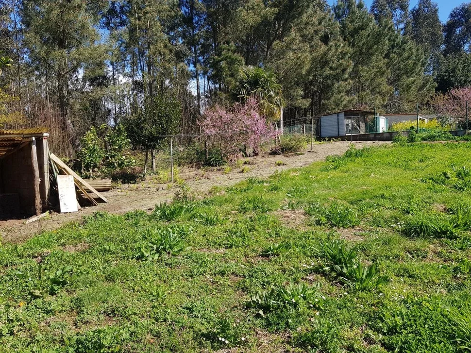 Finca edificable bemantes-miño