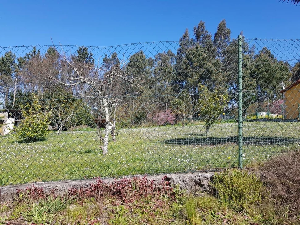 Finca edificable bemantes-miño