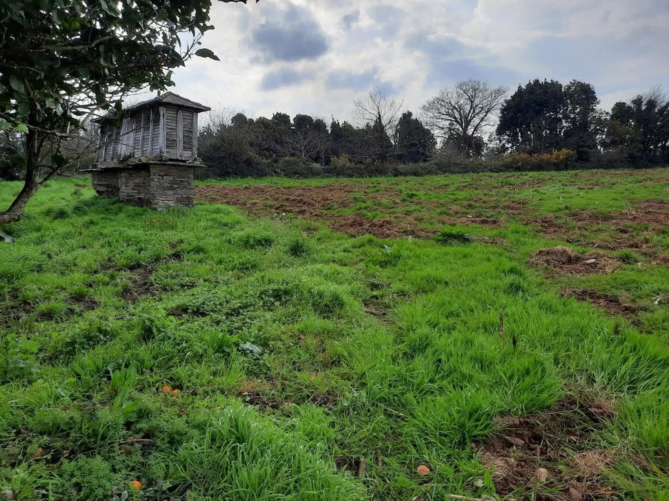 Casa de piedra para reformar en valdoviño