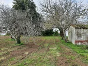 Casa de piedra para reformar con finca opcionable
