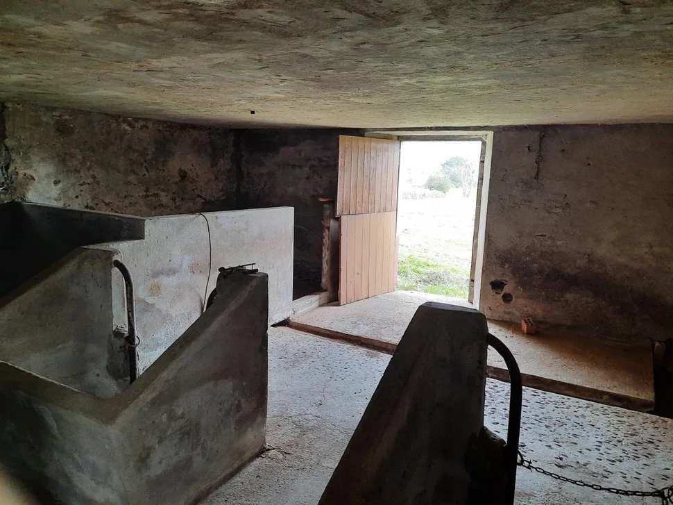 Casa de piedra para reformar con finca opcionable