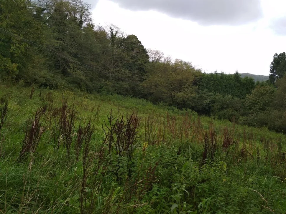 Casa para reformar en mugardos