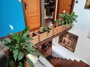 Vivienda totalmente reformada con finca