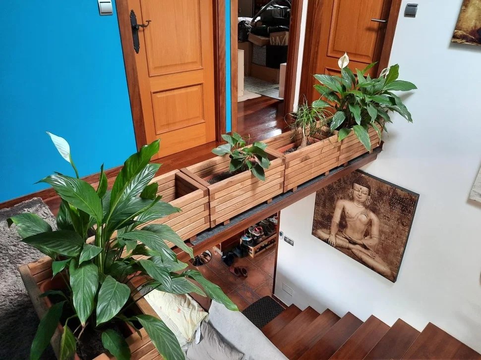 Vivienda totalmente reformada con finca