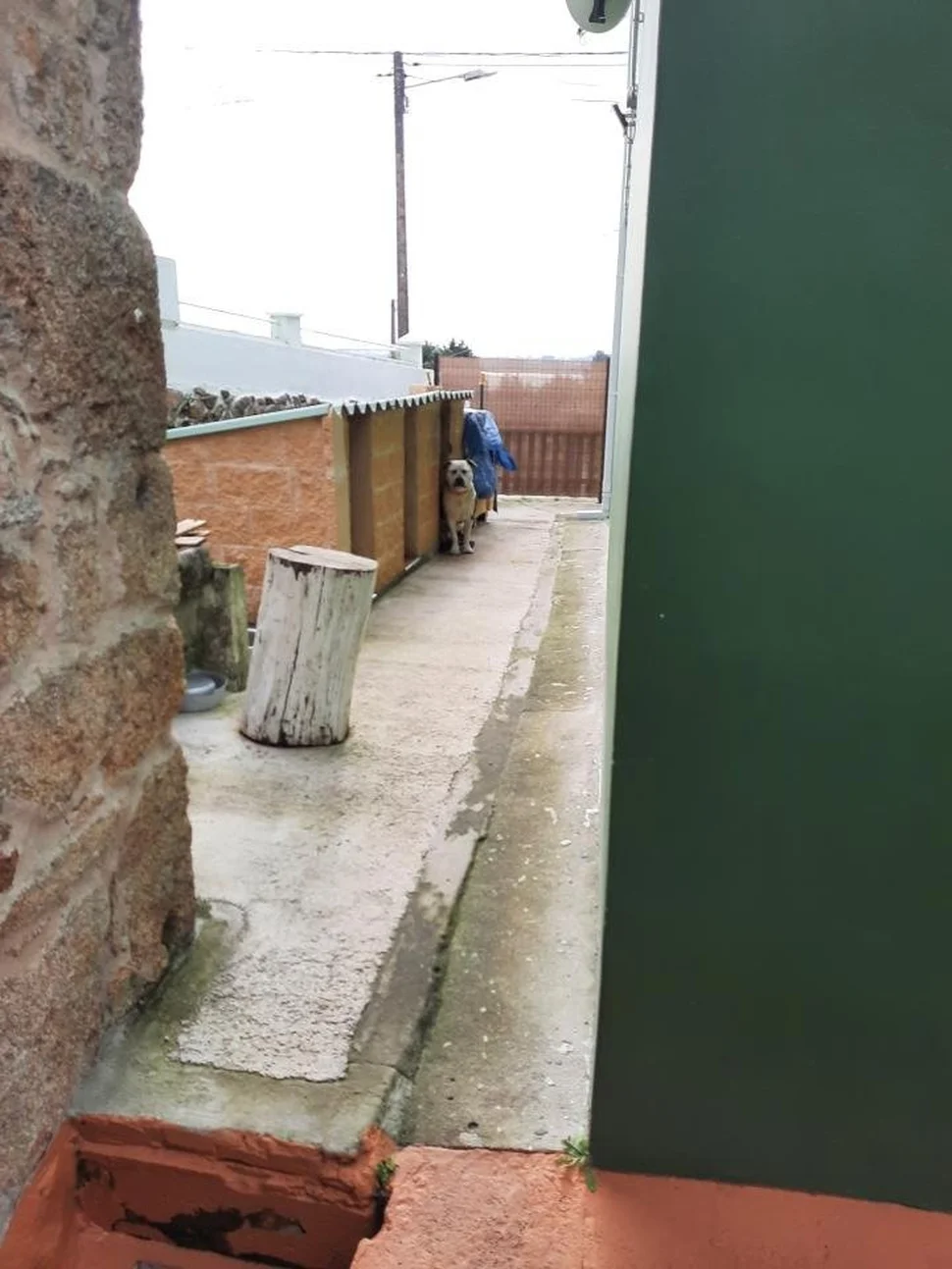 Vivienda totalmente reformada con finca