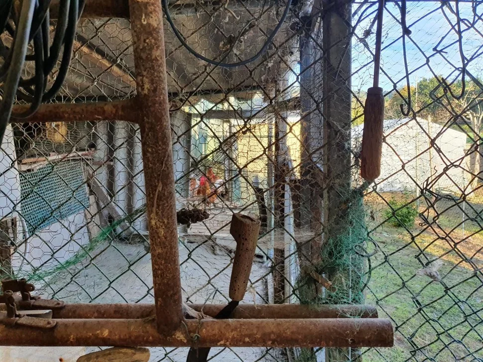 Chalet con piscina bodegas y finca en san sadueniño, san saturnino