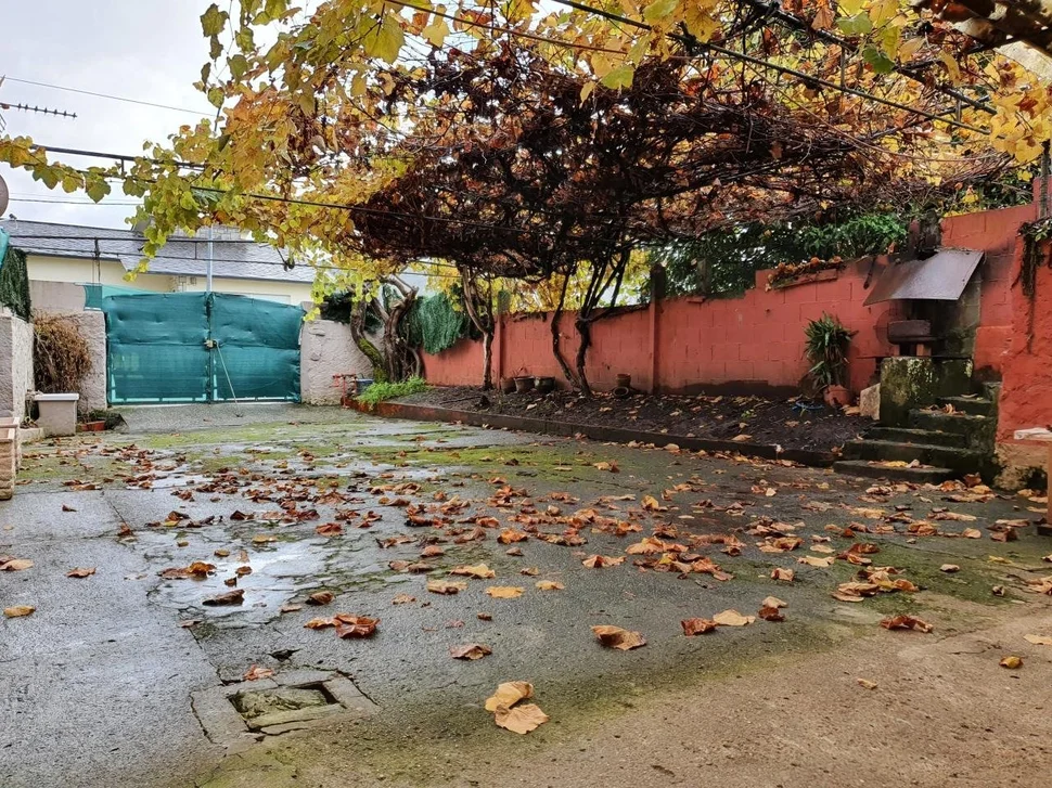 Casa con patio, bodega y finca en neda
