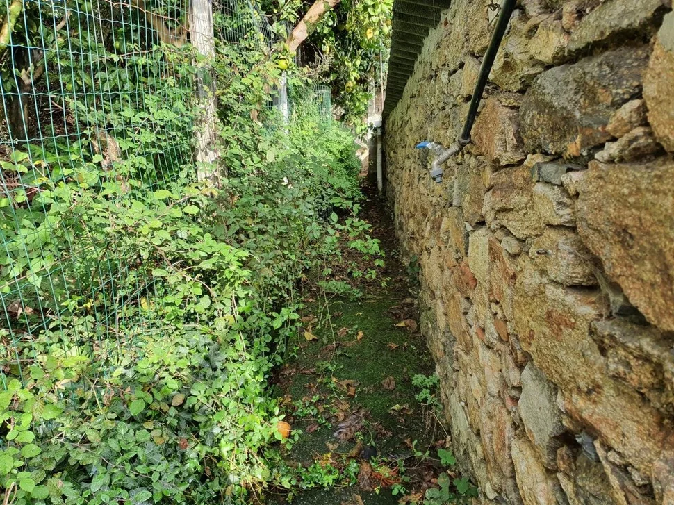 Casa con patio, bodega y finca en neda