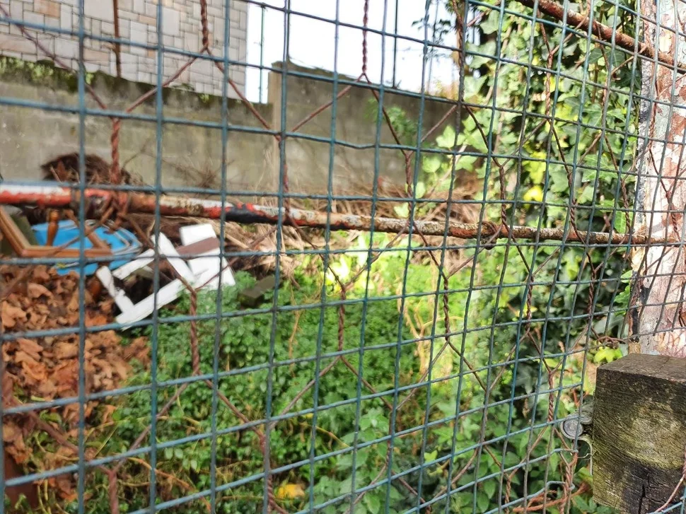 Casa con patio, bodega y finca en neda