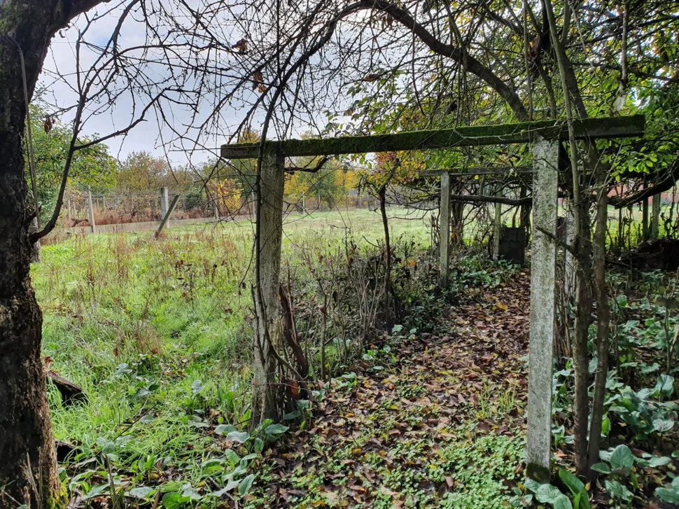 Chalet con finca y bodega